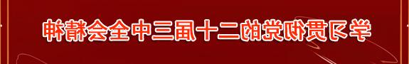 学习贯彻党的二十届三中全会精神